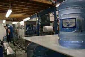 CAS Plant and Pallet